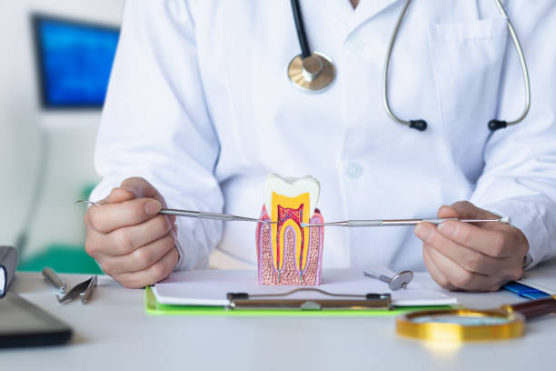 , AR Emergency Dental Service Company